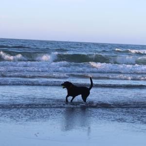 Meet your Posher, Gail